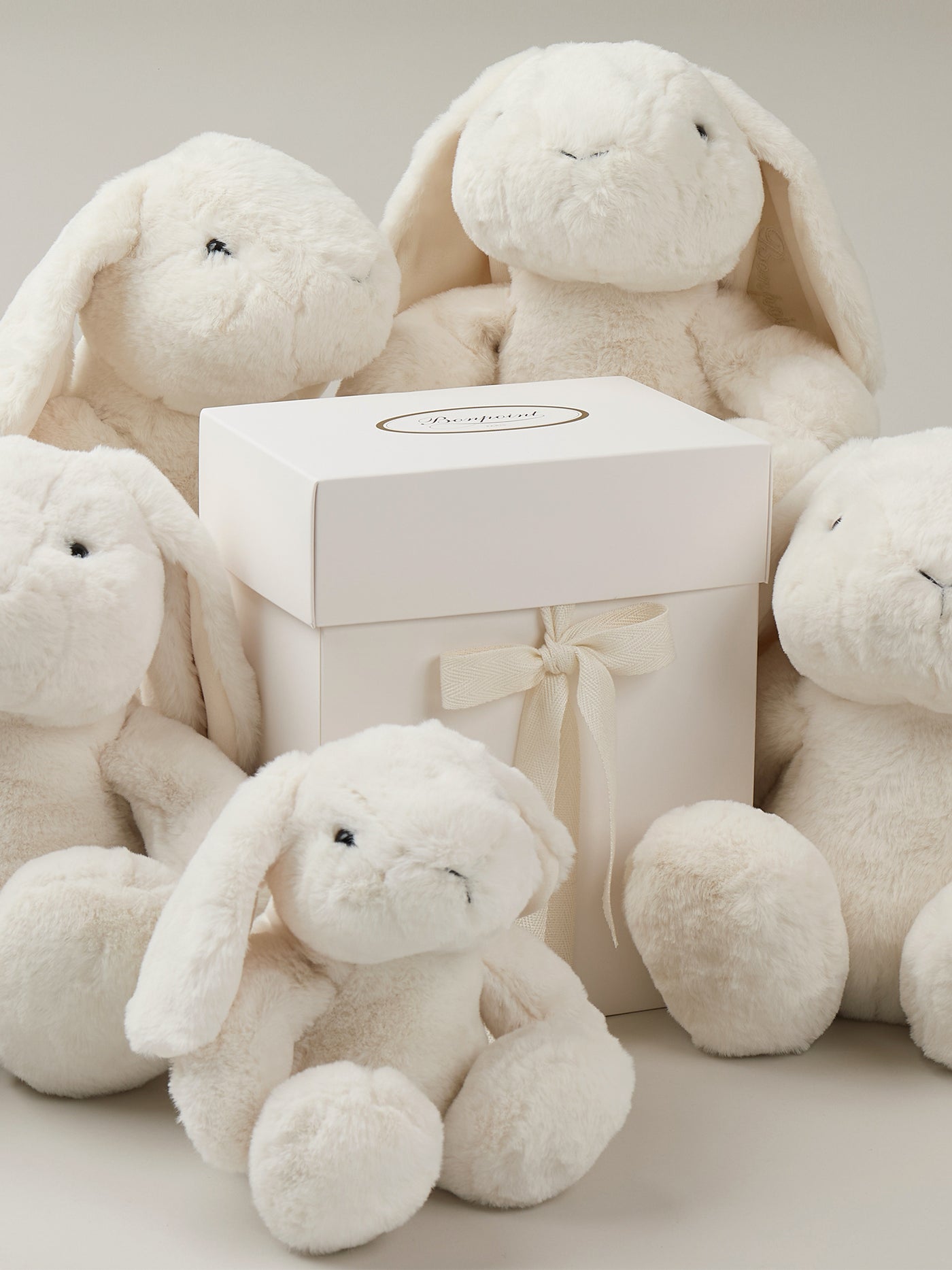Signature Bunny milk white 20 cm and its box