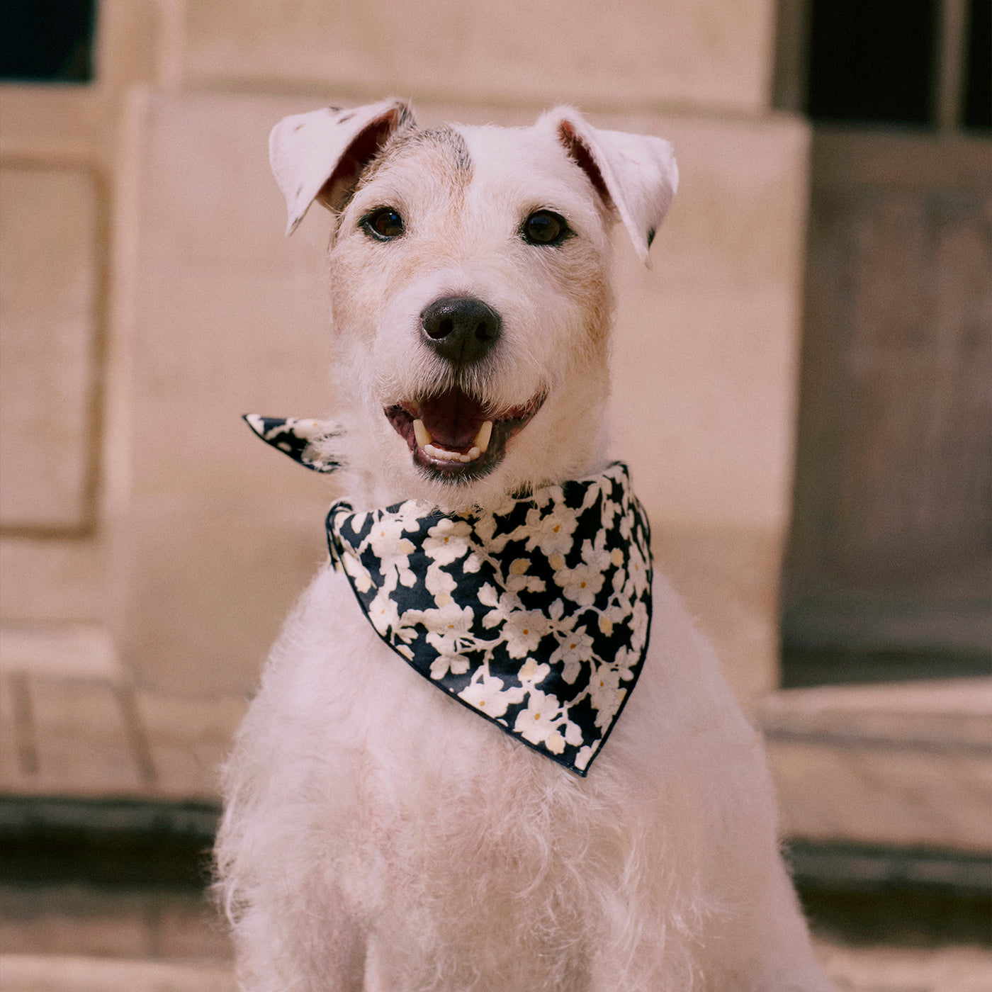 Cayati scarf in black Liberty fabric in organic cotton