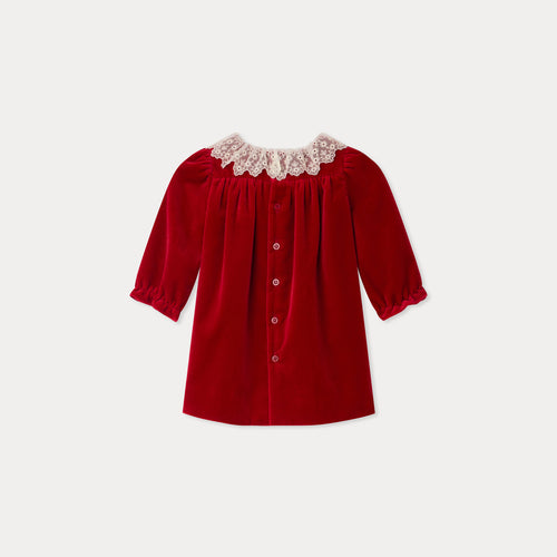 Jaylisa organic cotton velvet lace collar dress