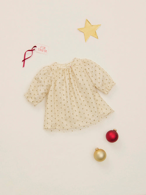 Jelisa embroidered tulle dress with lining