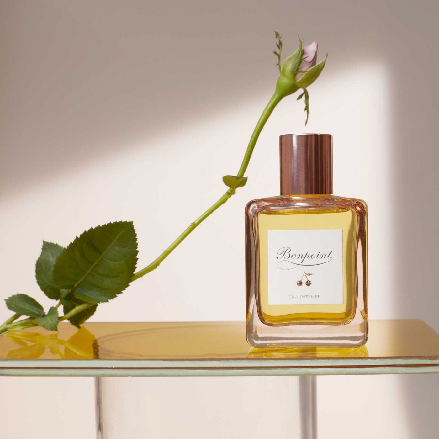 The Perfume