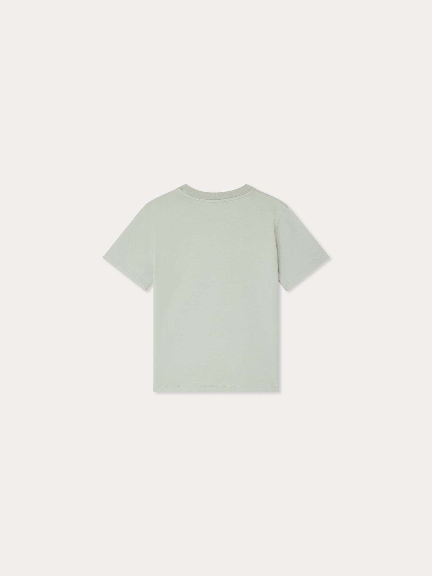 Landis Organic Cotton T-Shirt Printed Palm Springs