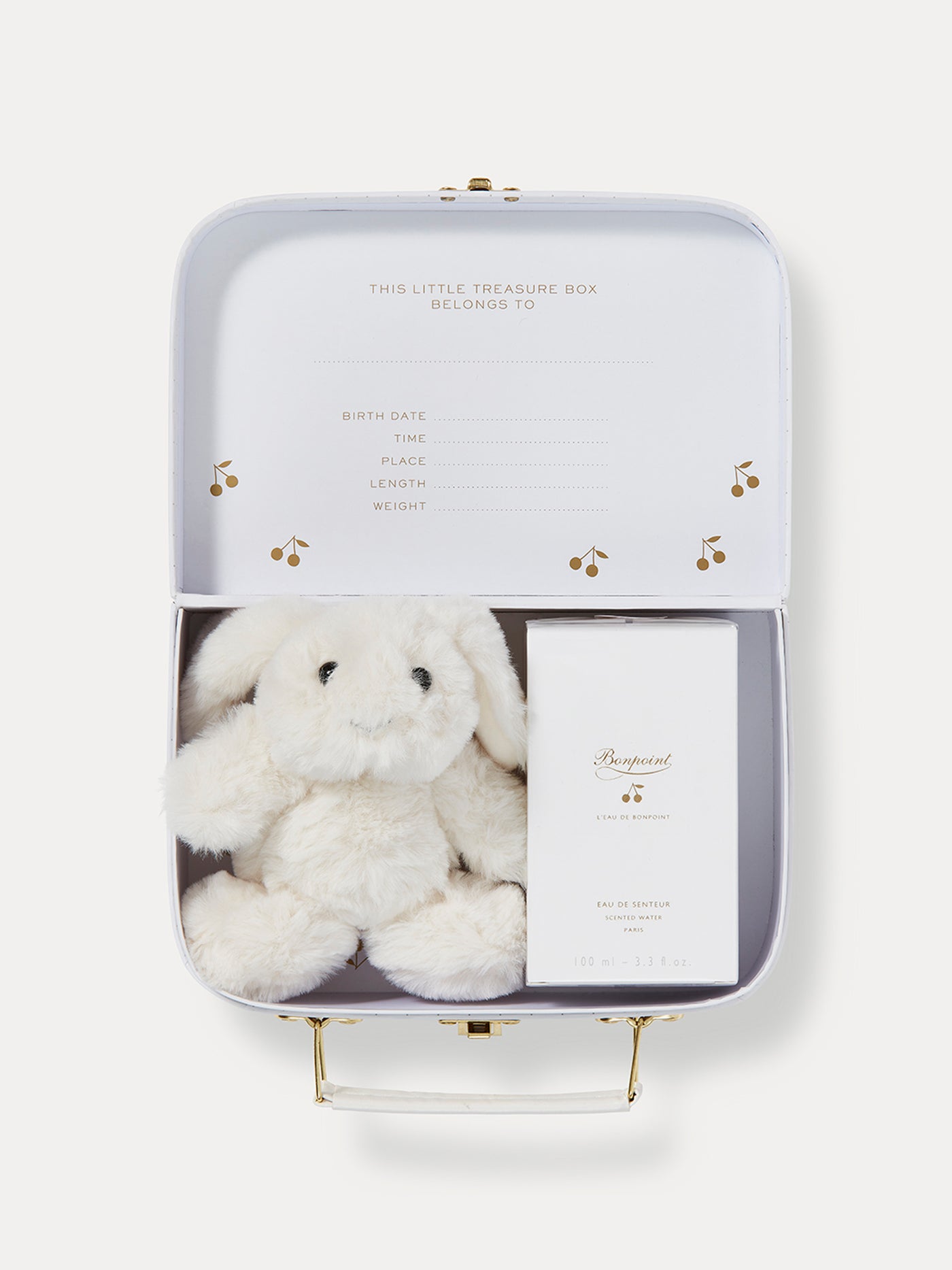 Newborn edition Suitcase