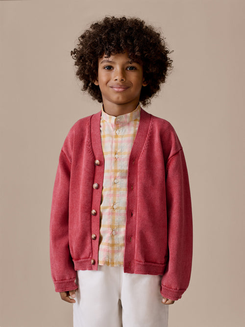 Lucien V-neck cardigan