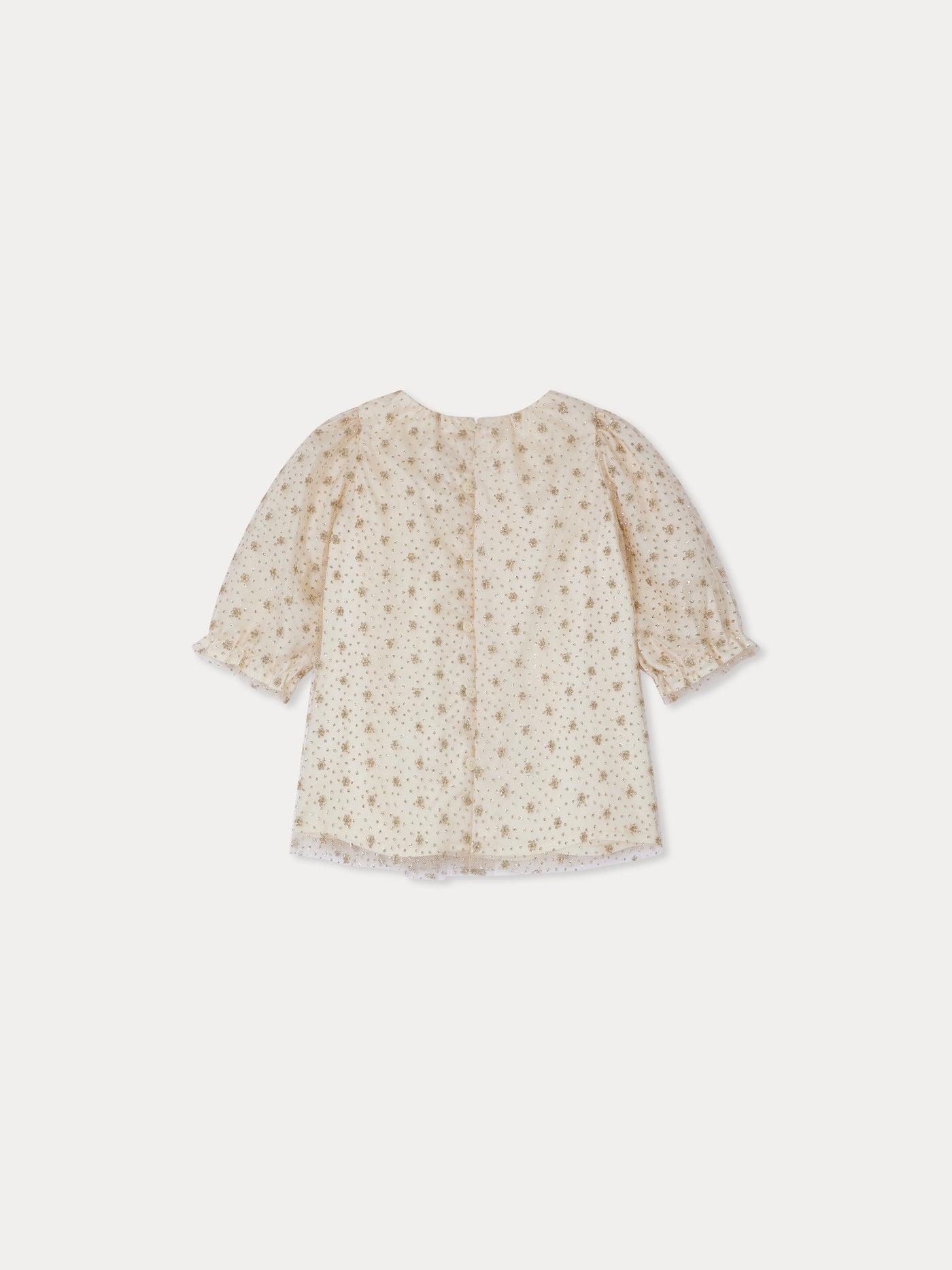 Jelisa embroidered tulle dress with lining