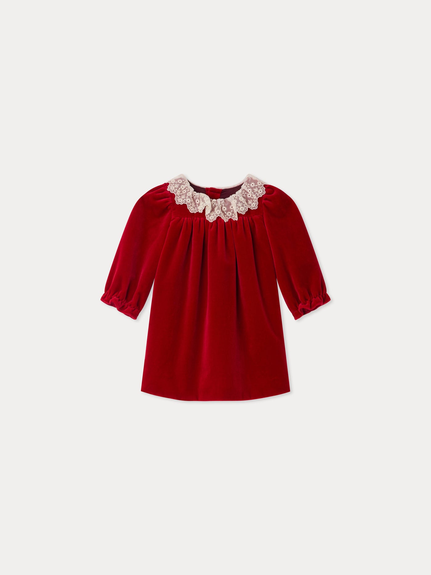 Jaylisa organic cotton velvet lace collar dress