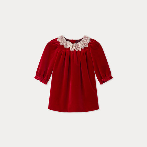 Jaylisa organic cotton velvet lace collar dress