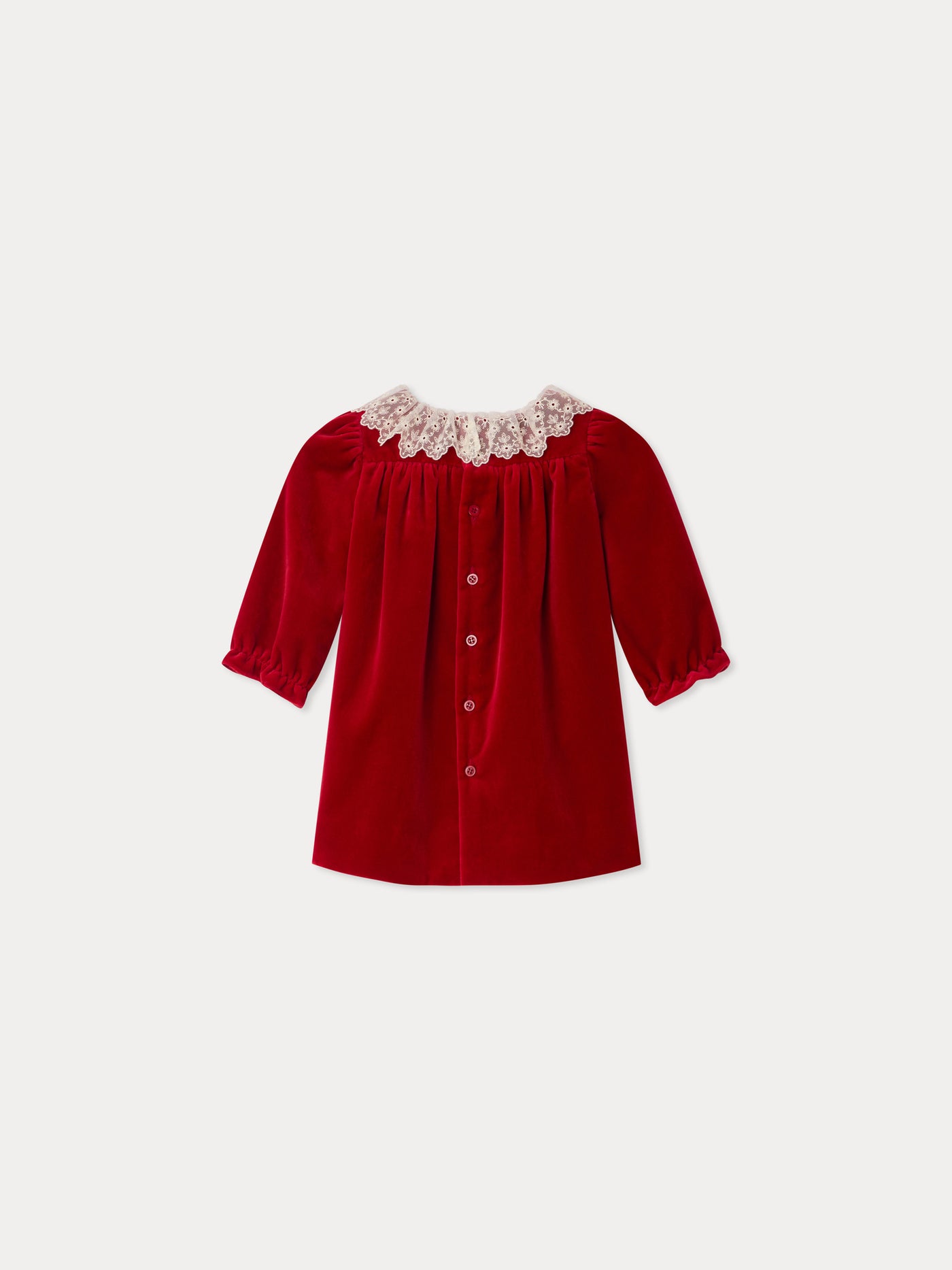 Jaylisa organic cotton velvet lace collar dress
