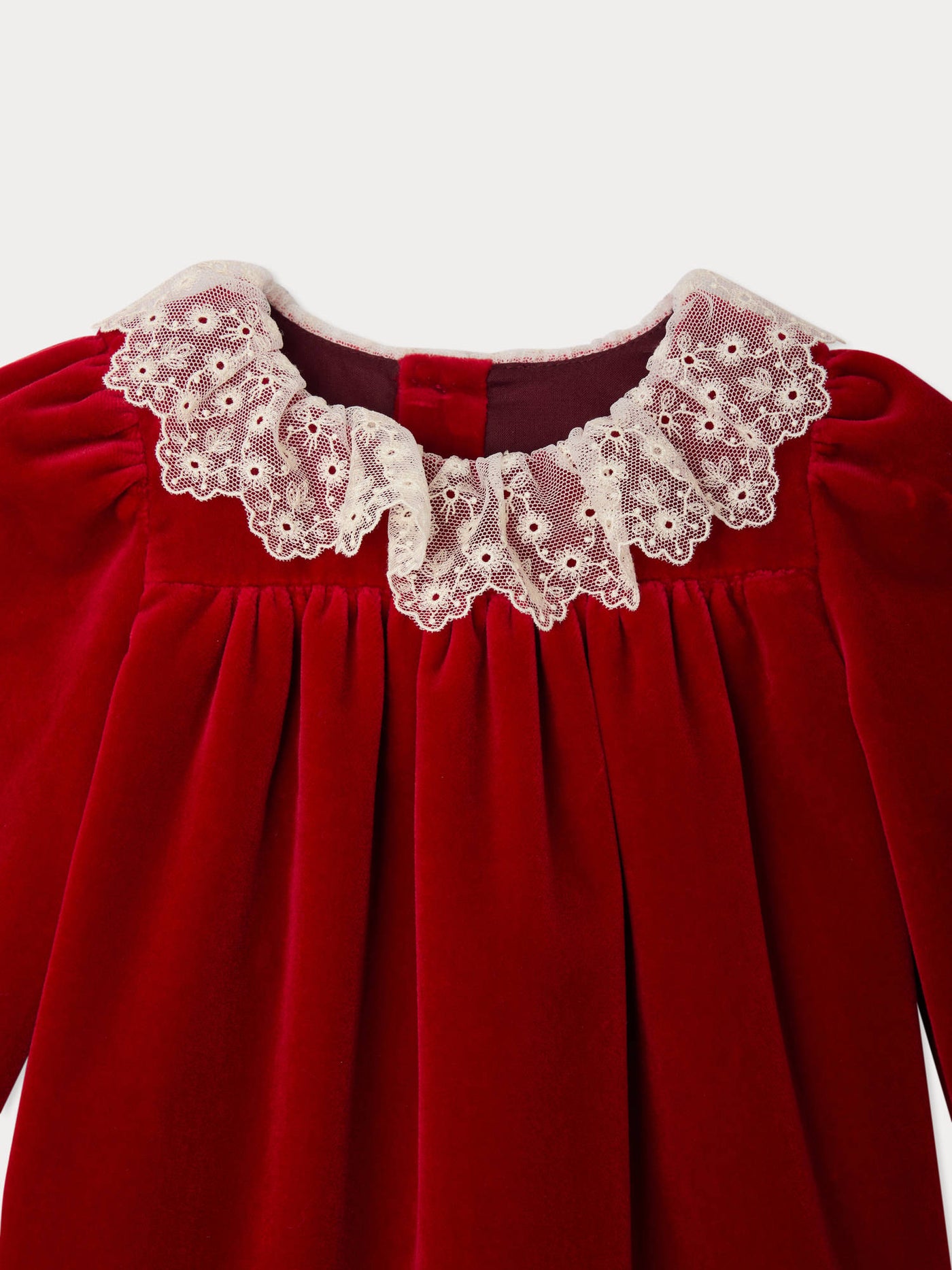 Jaylisa organic cotton velvet lace collar dress
