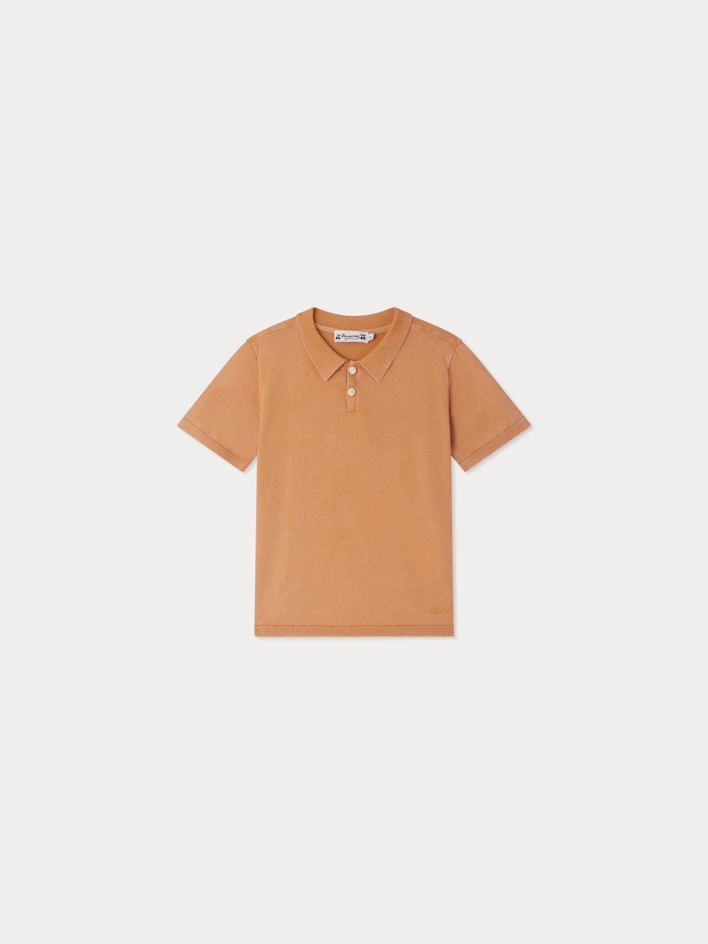 Fernando embroidered brown polo
