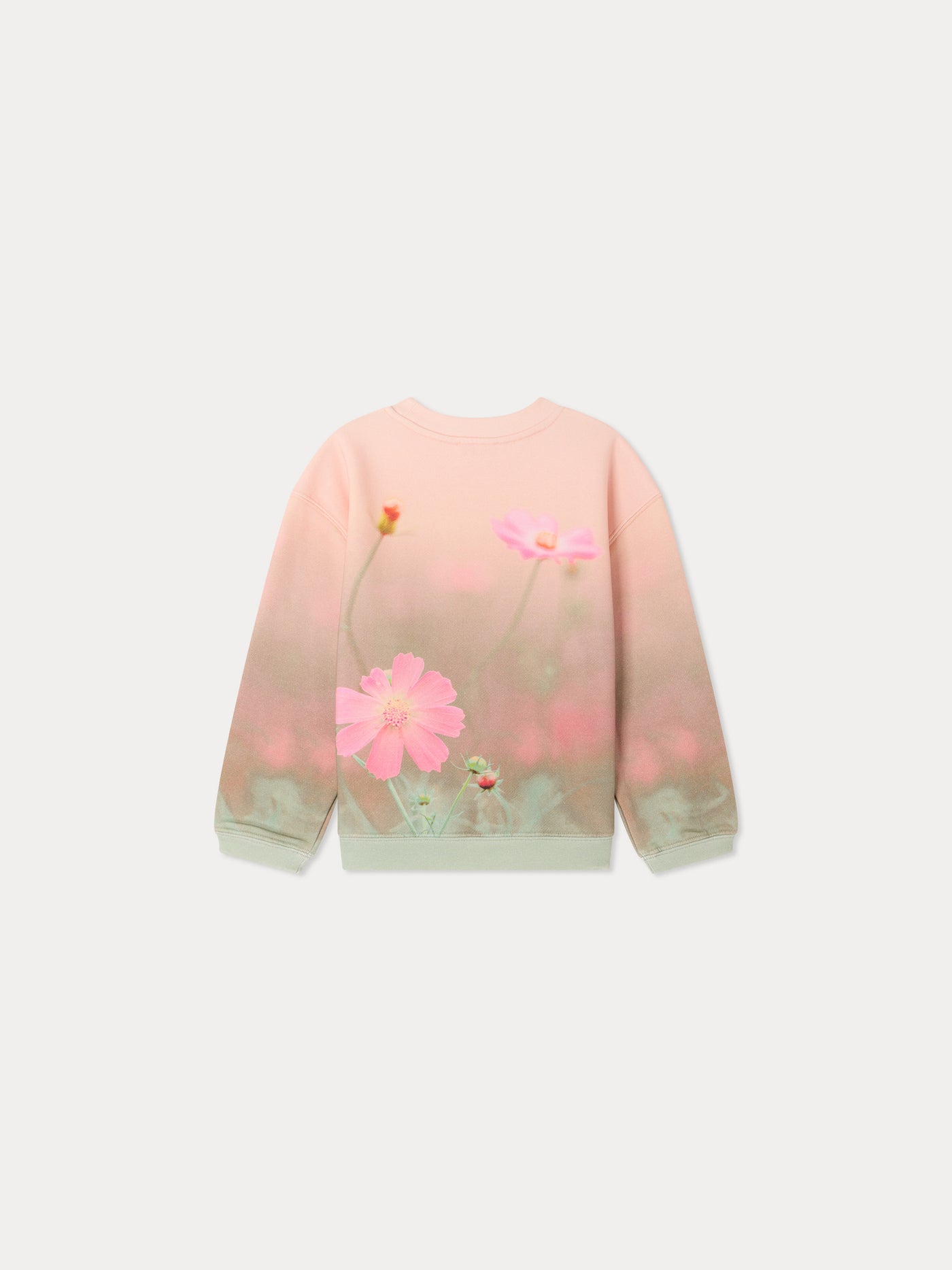 Tayla sweatshirt with landscape print in organic cotton