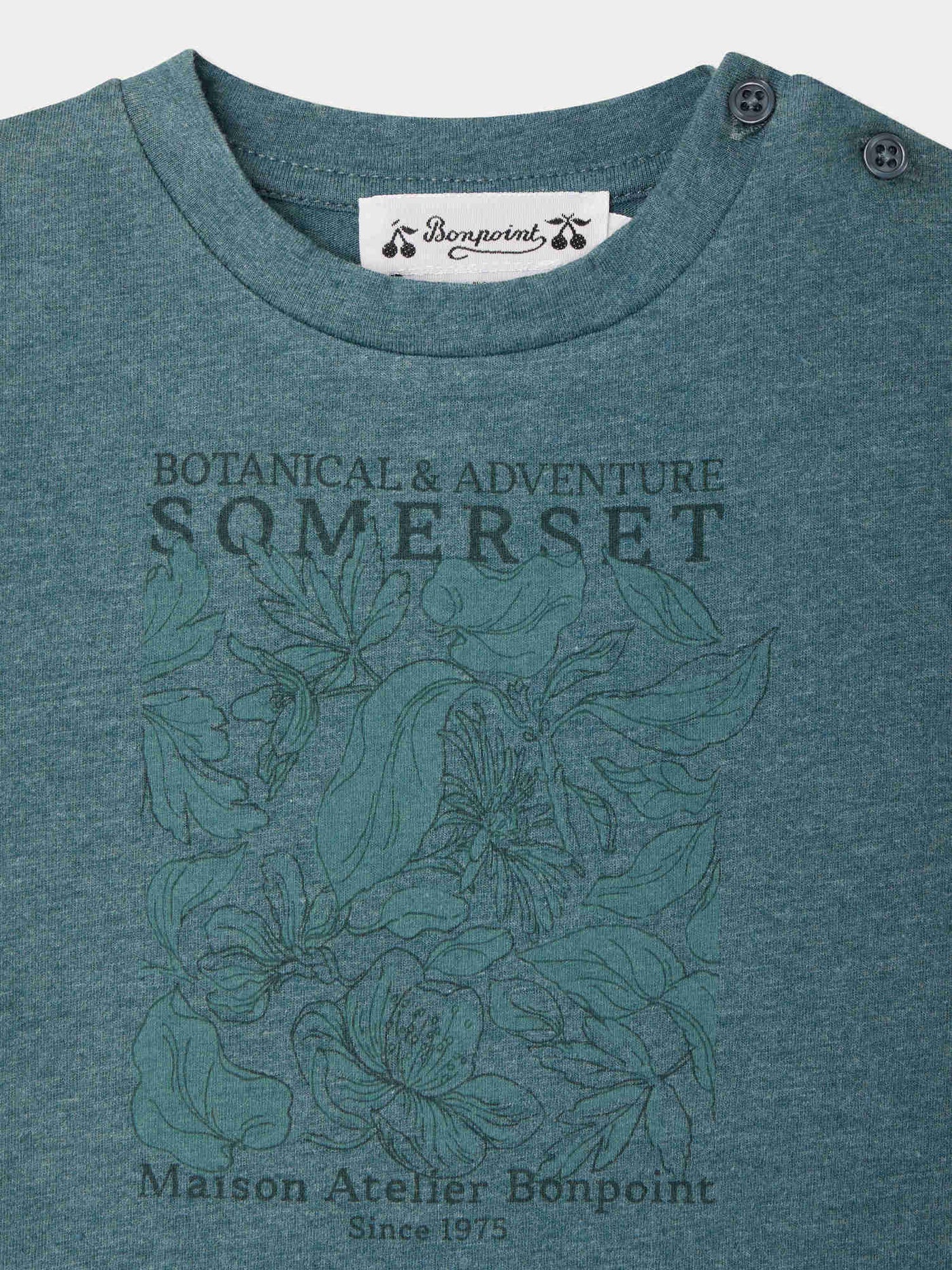 Tom Somerset print t-shirt in organic cotton