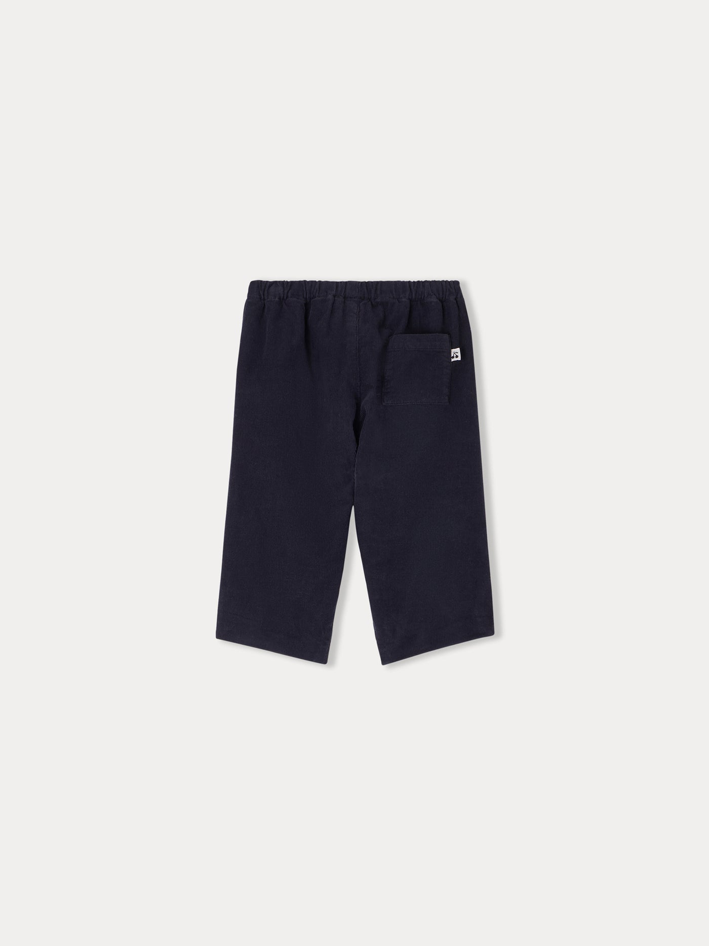 Dandy pants in midnight blue velvet