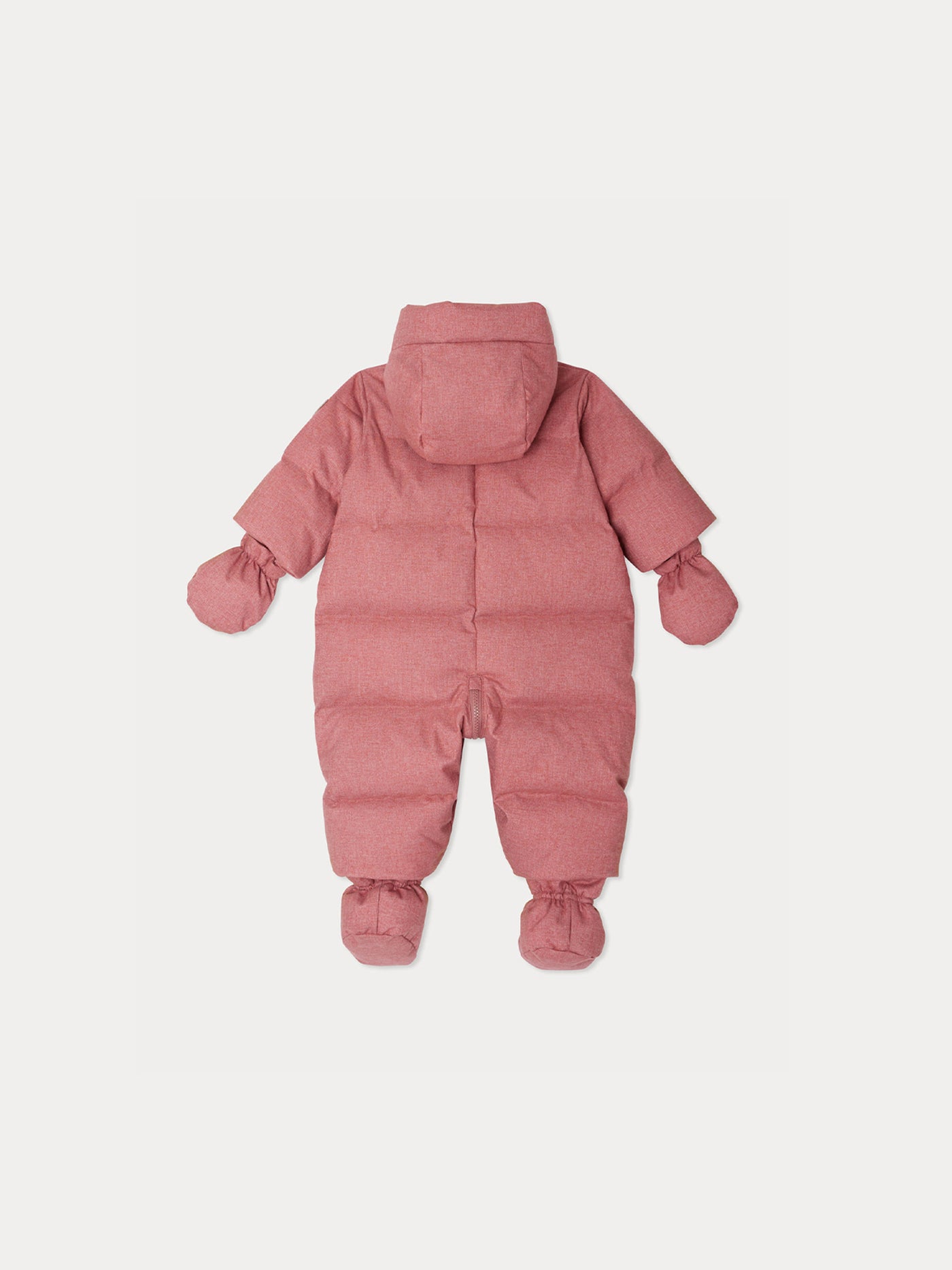 Tagonfly pink hooded pilot