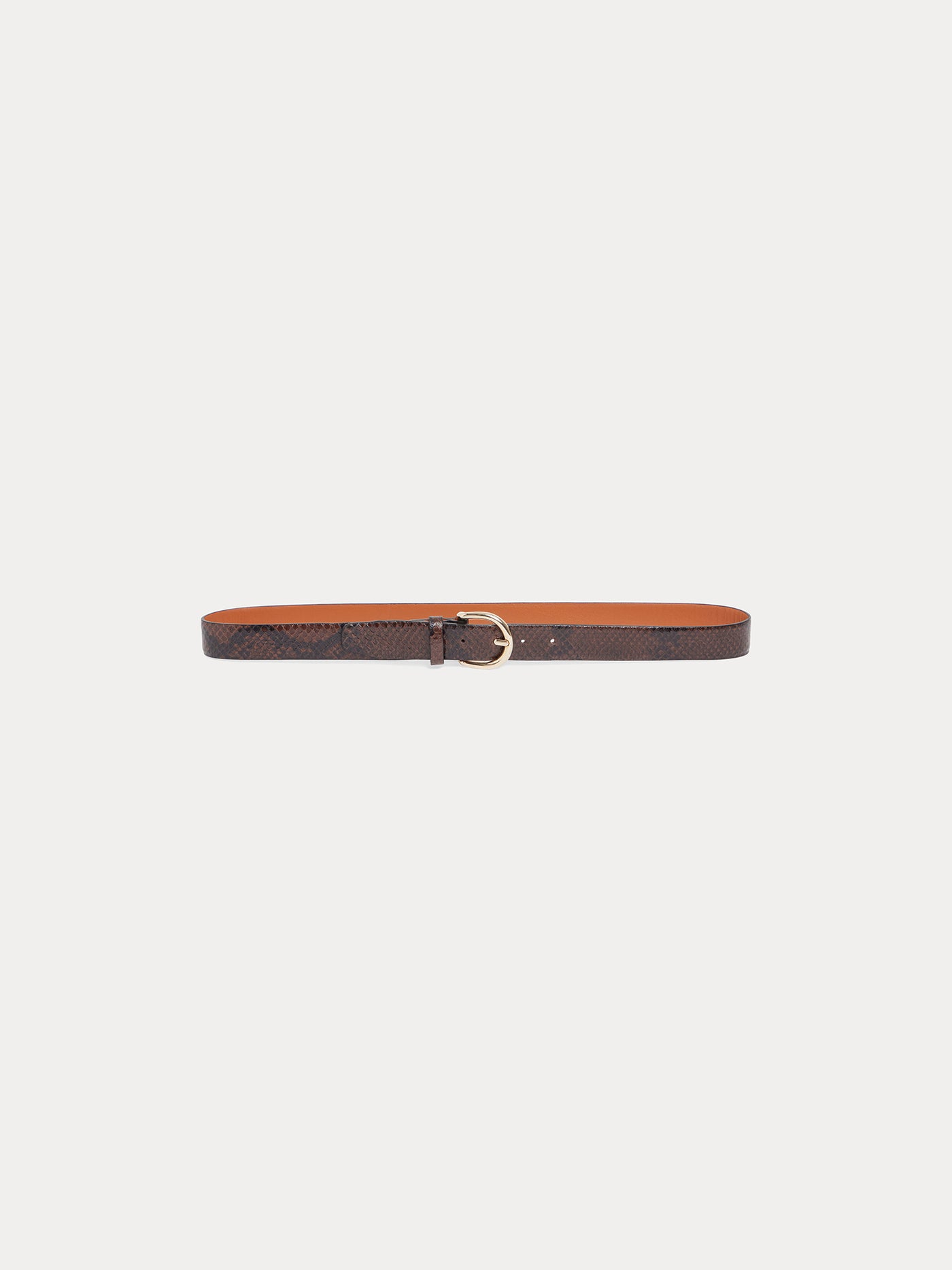 Lutèse Belt cocoa