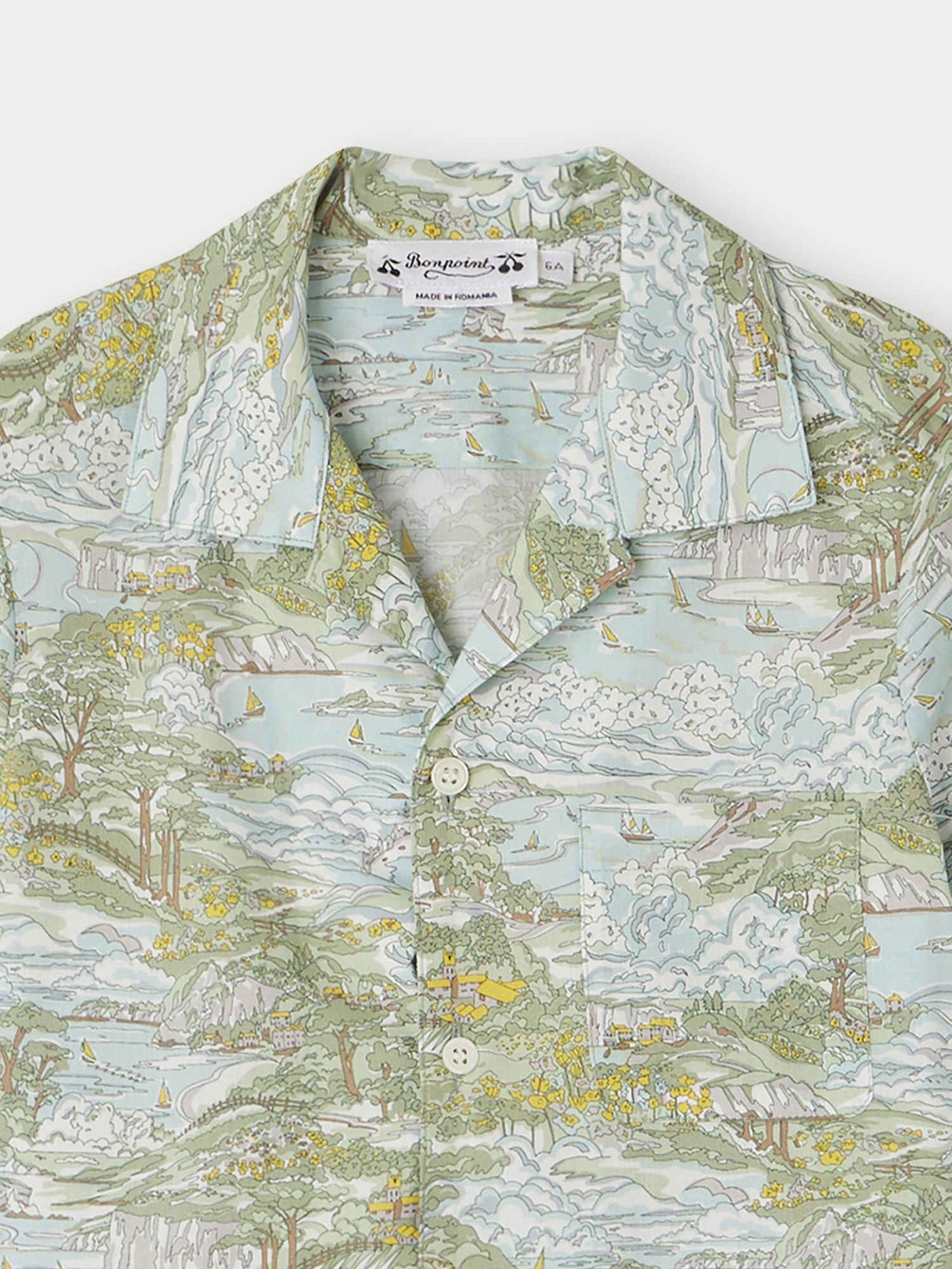 Steve Shirt lichen green